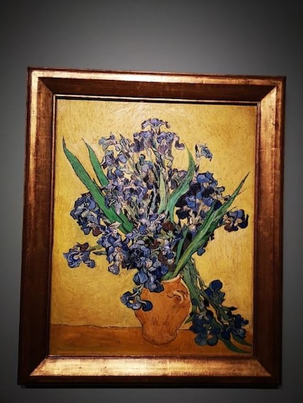 Van Gogh Museum-3